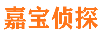 霸州市侦探调查公司